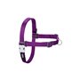 Harnais pour Chien Red Dingo 36-50 cm Violet S