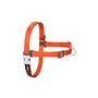 Harnais pour Chien Red Dingo 36-50 cm Orange S