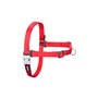 Harnais pour Chien Red Dingo 36-50 cm Rouge S