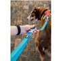 Laisse pour Chien Red Dingo Turquoise