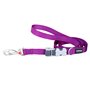 Laisse pour Chien Red Dingo Violet