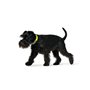 Collier pour Chien Hunter Convenience 53-61 cm L/XL Jaune