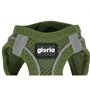 Harnais pour Chien Gloria 24,5-26 cm Vert 18-20 cm