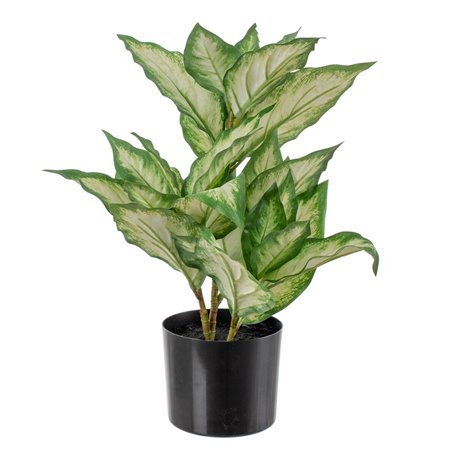 Plante décorative Polyéthylène PEVA Dieffenbachia 42 x 42 x 52 cm