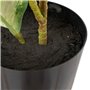 Plante décorative Polyéthylène PEVA Dieffenbachia 42 x 42 x 52 cm