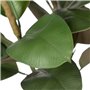 Plante décorative Polyéthylène Fer PEVA Chêne 76 cm