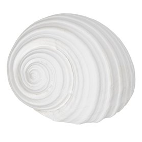 Figurine Décorative Blanc Conque 11 x 9 x 8 cm