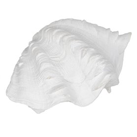 Figurine Décorative Blanc Conque 14 x 7 x 10 cm