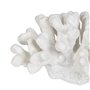 Figurine Décorative Blanc Corail 19 x 14 x 11 cm