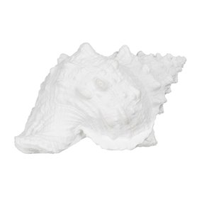 Figurine Décorative Blanc Conque 21 x 14 x 12 cm