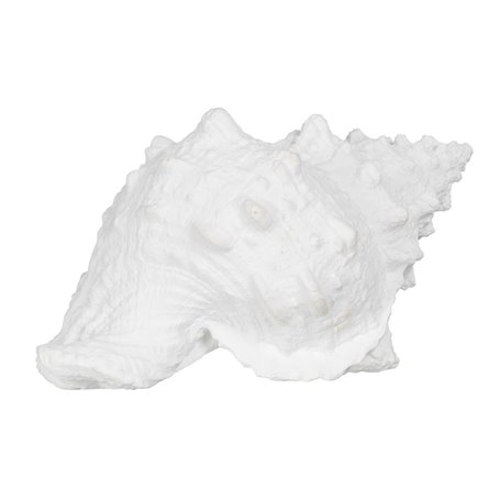 Figurine Décorative Blanc Conque 21 x 14 x 12 cm