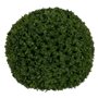 Plante décorative Vert PVC 30 x 30 cm