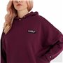 Sweat à capuche femme Ellesse  Semprevisa Aubergine Vert