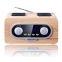 Lecteur radio portable FM / MP3 / USB / AUX Blaupunkt PP5.2CR