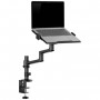 Neomounts DS20-425BL1 Support dordinateur portable inclinable, réglabl