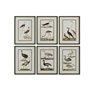 Cadre Home ESPRIT Oiseaux Cottage 40 x 2,5 x 54 cm (6 Unités)