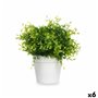 Plante décorative Plastique Petit (6 Unités)