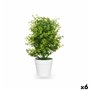 Plante décorative Plastique Grand (6 Unités)