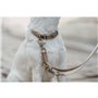 Collier pour Chien Hunter Inari Beige 40-55 cm L