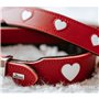 Collier pour Chien Hunter Love S/M 35-43 cm Rouge