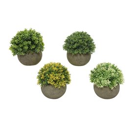 Plante décorative Everlands Ø 12 cm Pot Plastique