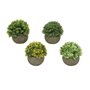 Plante décorative Everlands Ø 12 cm Pot Plastique