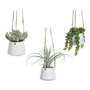 Plante décorative 800073 Succulent 20 cm A accrocher Artificielle