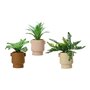 Plante décorative EDM 808559 Pot 25 cm