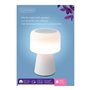 Lampe LED avec haut-parleur Bluetooth et chargeur sans fil Lumineo 894