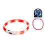 Laisse pour Chien Hilton LED