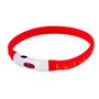 Laisse pour Chien Hilton LED