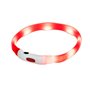 Laisse pour Chien Hilton LED