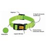 Collier pour Chien Dingo 14753 Vert 37 cm 61 cm