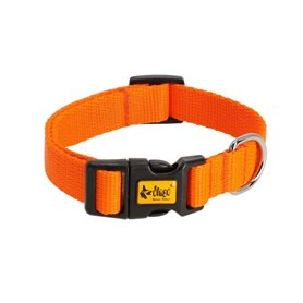 Collier pour Chien Dingo 14758 Orange 37 cm 61 cm