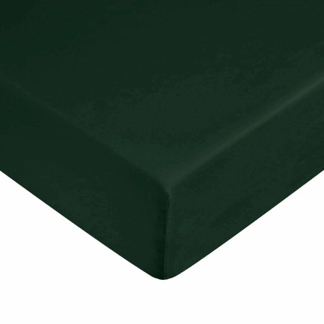 Drap housse Harry Potter Vert 180 x 200 cm