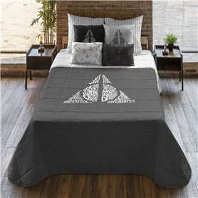 Couette légère Harry Potter Multicouleur 250 g/m² 250 x 270 cm 250 x 4