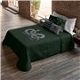 Couette légère Harry Potter Slytherin Multicouleur 250 g/m² 250 x 270 