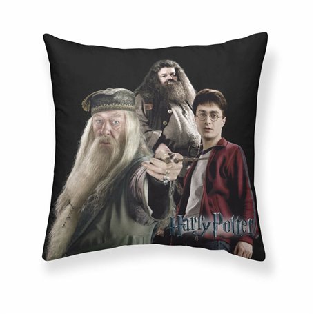 Housse de coussin Harry Potter Team 50 x 50 cm