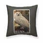 Housse de coussin Harry Potter Hedwig 50 x 50 cm