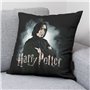 Housse de coussin Harry Potter Severus Snape Noir 50 x 50 cm
