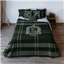 Housse de Couette Harry Potter Slytherin 240 x 220 cm Gran lit 2 perso