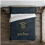 Housse de Couette Harry Potter Dormiens Draco 200 x 200 cm Lit de 120