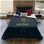 Housse de Couette Harry Potter Dormiens Draco 200 x 200 cm Lit de 120