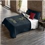 Housse de Couette Harry Potter Dormiens Draco 200 x 200 cm Lit de 120