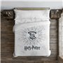 Housse de Couette Harry Potter Dormiens Draco 220 x 220 cm Lit 2 perso