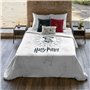 Housse de Couette Harry Potter Dormiens Draco 220 x 220 cm Lit 2 perso