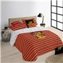 Housse de Couette Harry Potter Gryffindor 200 x 200 cm Lit de 120