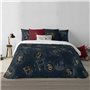 Housse de Couette Harry Potter Gold 220 x 220 cm Lit 2 persones