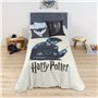 Housse de Couette Harry Potter 200 x 200 cm Lit de 120