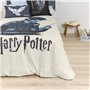 Housse de Couette Harry Potter 200 x 200 cm Lit de 120